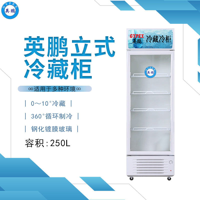 酒店厨房玻璃门冰柜