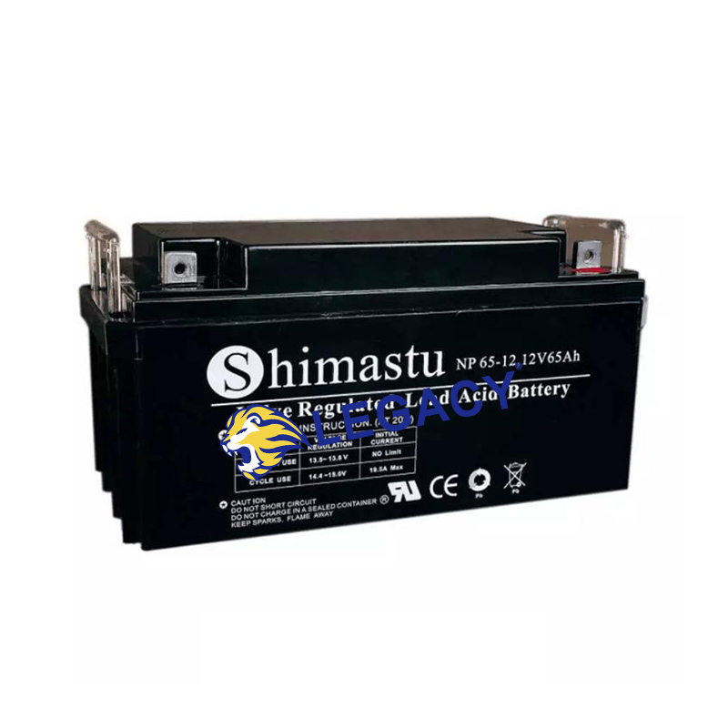 美国SHIMASTU电池NP600-2 直流屏配电柜UPS电源