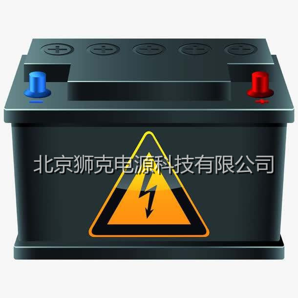 进口丹麦FGS蓄电池 洗地机 升降机专用牵引电池