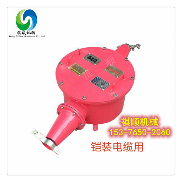 BHG防爆接线盒 铠装电缆接线盒两通