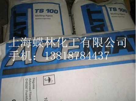 德国德固赛消光粉TS100