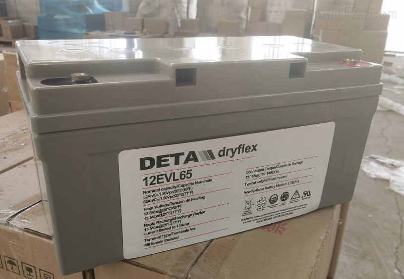 DETA 银杉蓄电池dryflex 2VEG300 DC2V300AH木箱包装