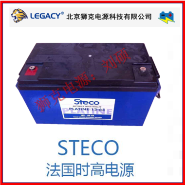 STECO蓄电池PLATINE12-100时高电池12V100参数