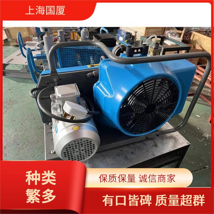 检测50兆帕管道吹扫用500公斤空气压缩机