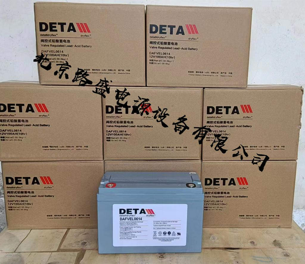  德国DETA银杉detallldryflex蓄电池6VEL300牵引用