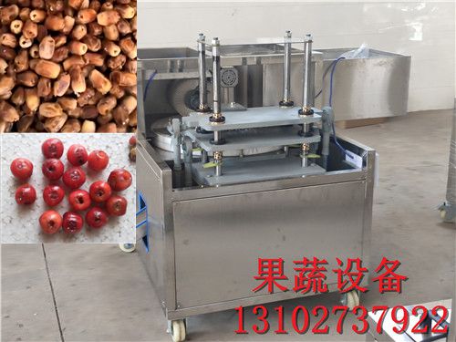直销全自动龙眼去核机标准冲核
