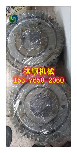WRB200/31.5乳化液泵小齿轮齿轮轴 弹簧密封