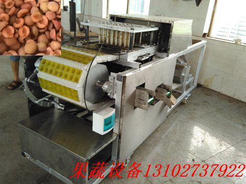 牛油果全自动去核机大小果实通用