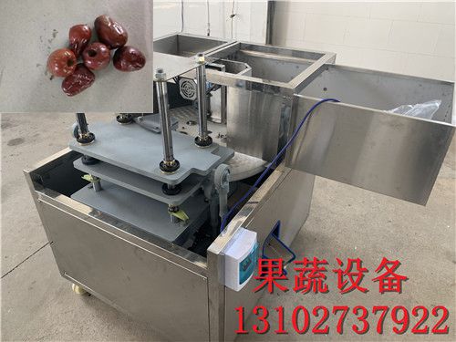 直销全自动龙眼去核机标准冲核