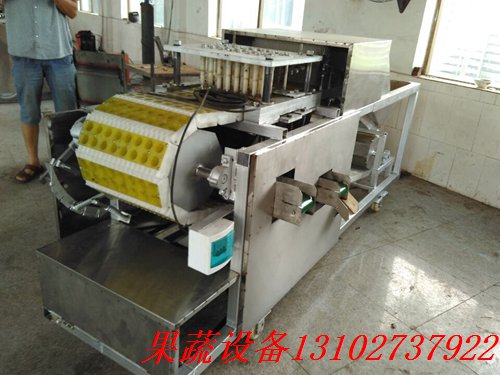 自动去核龙眼全自动去核机厂家