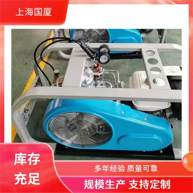 500KG精密检测用高压空气压缩机