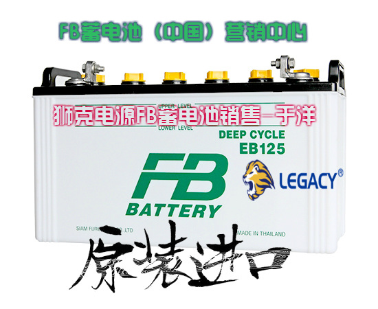 蓄电池FB日本古河12M38B标称电压