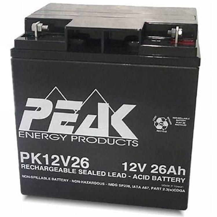 法国PEAK蓄电池PK12V32 12v32ah原装进口