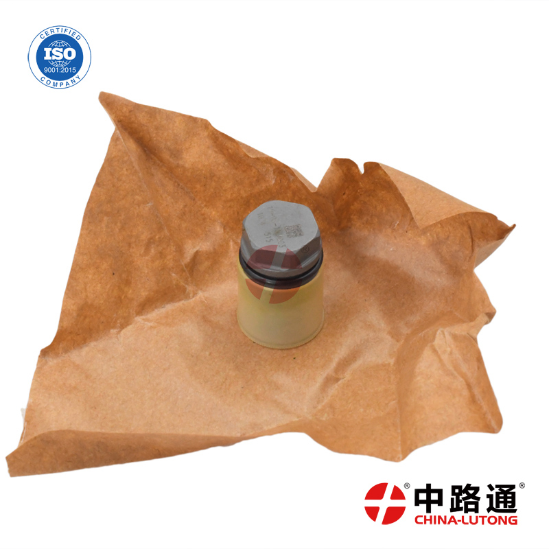 博世燃油泵泄压阀  1110010028
