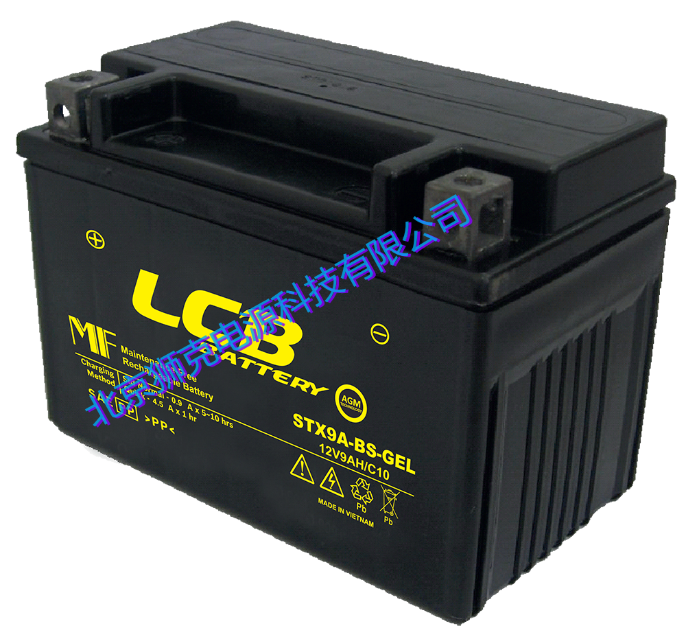 LCB蓄电池UEV系列 UEV200-6 6V200AH原装进口牵引电池