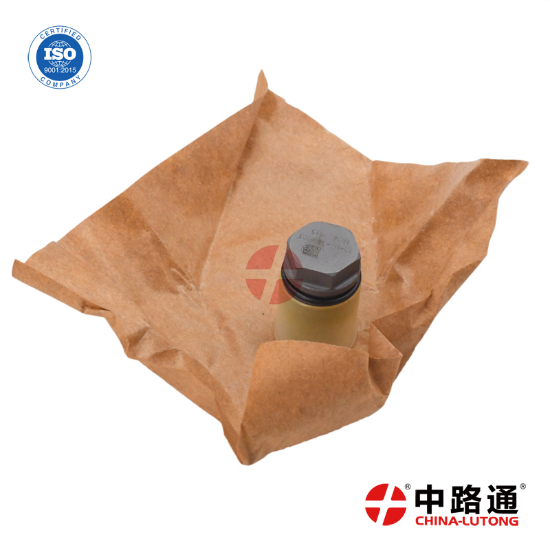 博世燃油泵泄压阀  1110010028