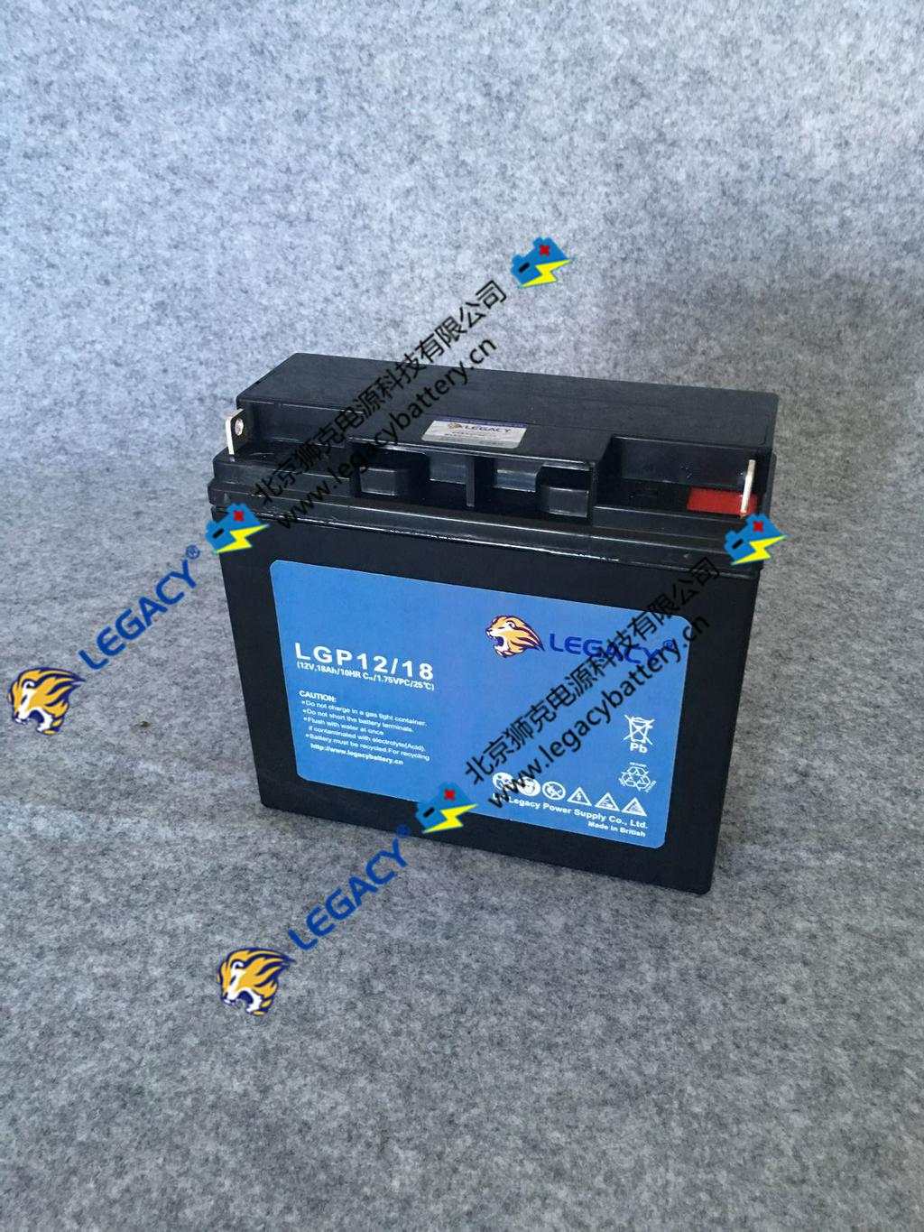 美国INTERSTATE BATTERIES蓄电池BSL0905 原装进口 EPS