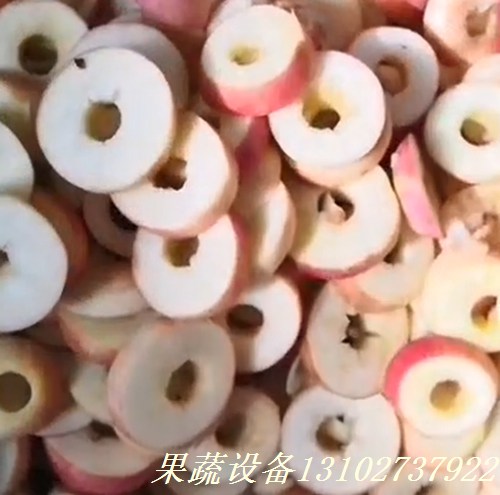 湖北黄石供应脱核机牛油果去核机设备