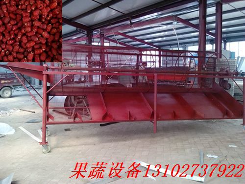 牛油果全自动去核机大小果实通用