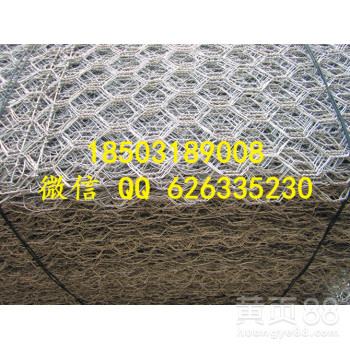 包塑重型六角网规格海河工程防护用石笼网厂家