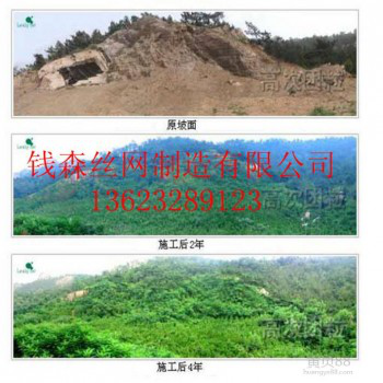 厂家促销优质绿化喷播植草网，铁丝固土活络网，勾花网多年品牌。
