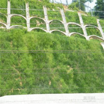 厂家供应88cm护坡植草铁丝网山坡绿化种草网