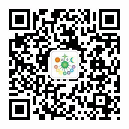 贻顺Q/YS.903-2 常温漆包线脱漆剂 强力脱漆剂 聚氨脂漆包线脱漆剂