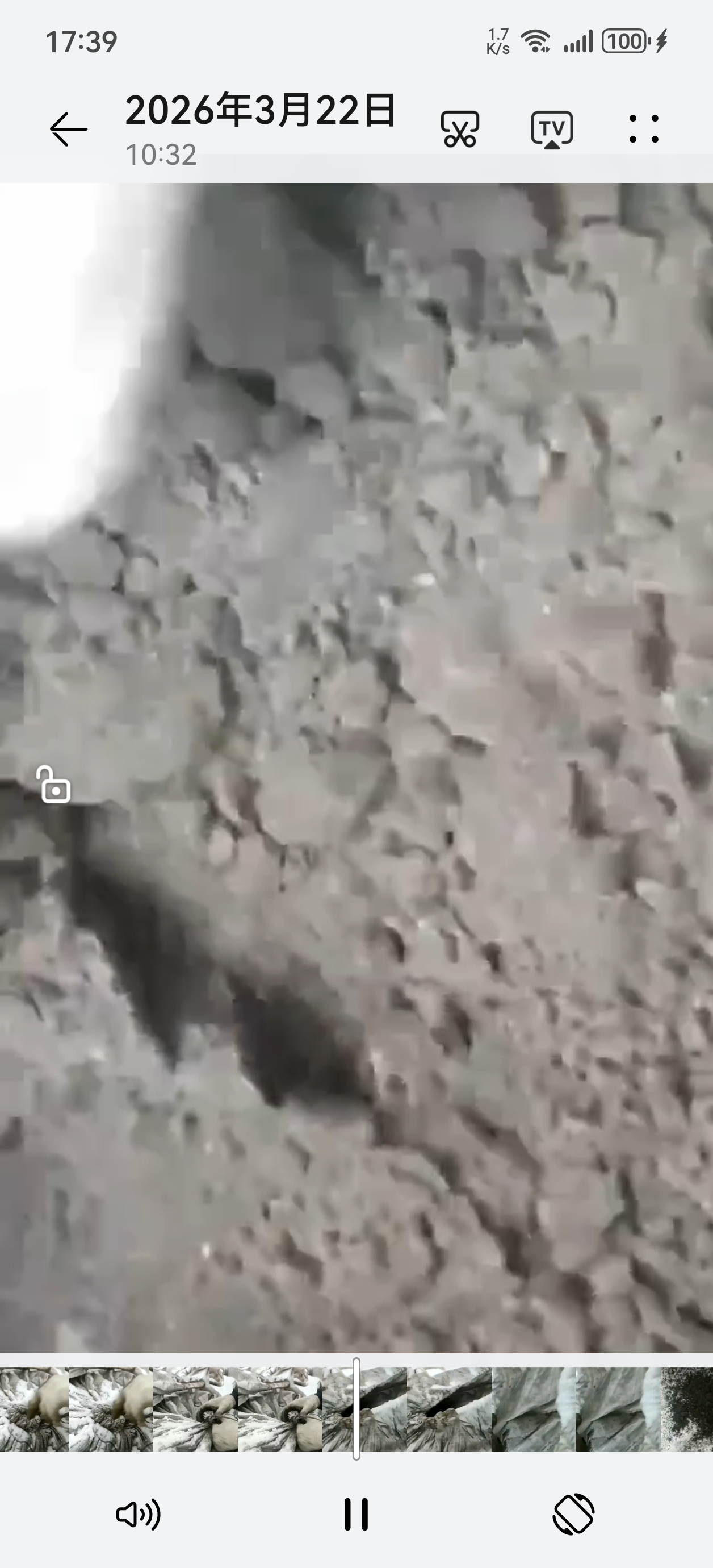 铜粉纯度百分之二十四物料