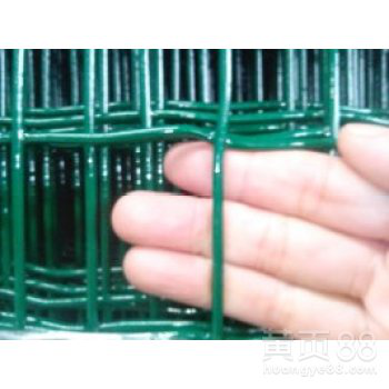 河北衡水瑞才卷状绿色荷兰网护栏批发工厂