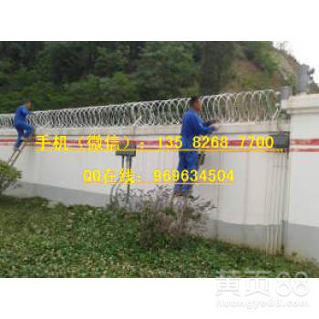 圆筒80cm形带刺防盗网，蛇腹不锈钢带刀片网，一件也发