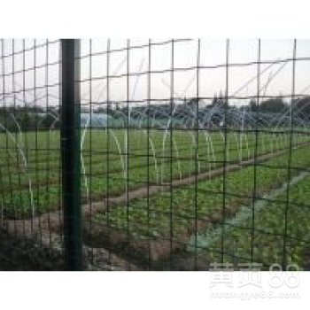 养殖荷兰网价格首选瑞才荷兰网厂家诚信发货