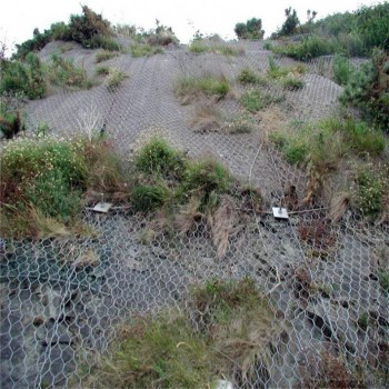 厂家促销优质绿化喷播植草网，铁丝固土活络网，勾花网多年品牌。