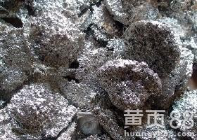 东莞第一回收公司