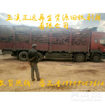 本公司现款大量收购各种废钢，焦钢生铁，废旧螺纹钢等废铁