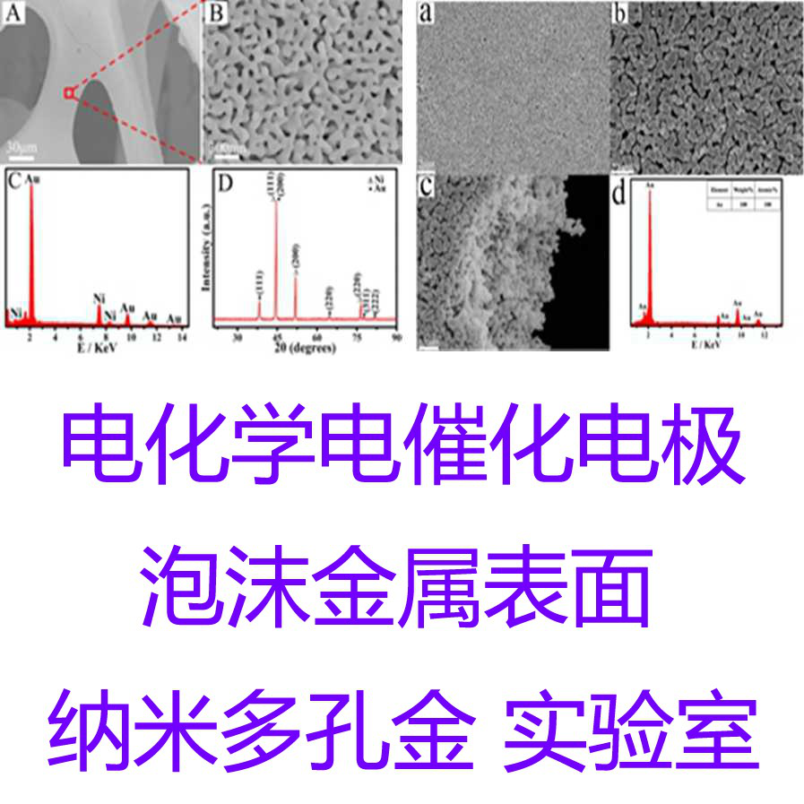 定制 纳米多孔金 金电极 铂片电极 电化学电催化电极 贵金属 氧化铝 表面加工