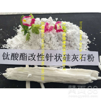 涂料级硅灰石粉白度硅灰石粉细粉状长纤维流动性硅灰石厂家直供