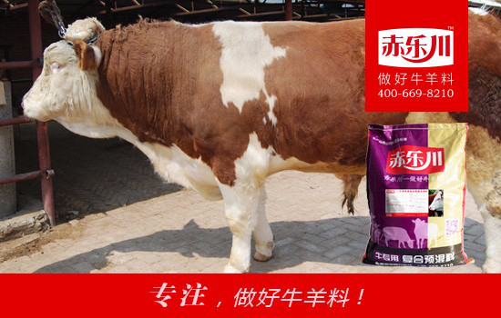 赤乐川N650西门塔尔牛饲料添加剂