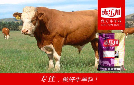 赤乐川N650西门塔尔牛饲料添加剂
