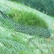 边坡植生绿格网生态PVC绿格网堤坡防冲刷绿格网