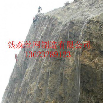 厂家促销优质绿化喷播植草网，铁丝固土活络网，勾花网多年品牌。