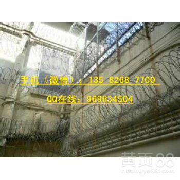 圆筒80cm形带刺防盗网，蛇腹不锈钢带刀片网，一件也发