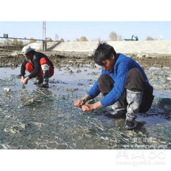 陕西渭南热镀锌铅丝石笼水利加固河道防洪护岸水毁工程