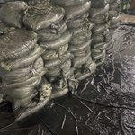 长期回收钨钢粉，磨削料，废合金15367928808
