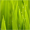 user_img