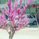user_img