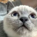 user_img
