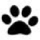 user_img