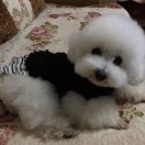 user_img