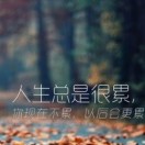 user_img