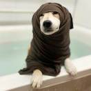 user_img